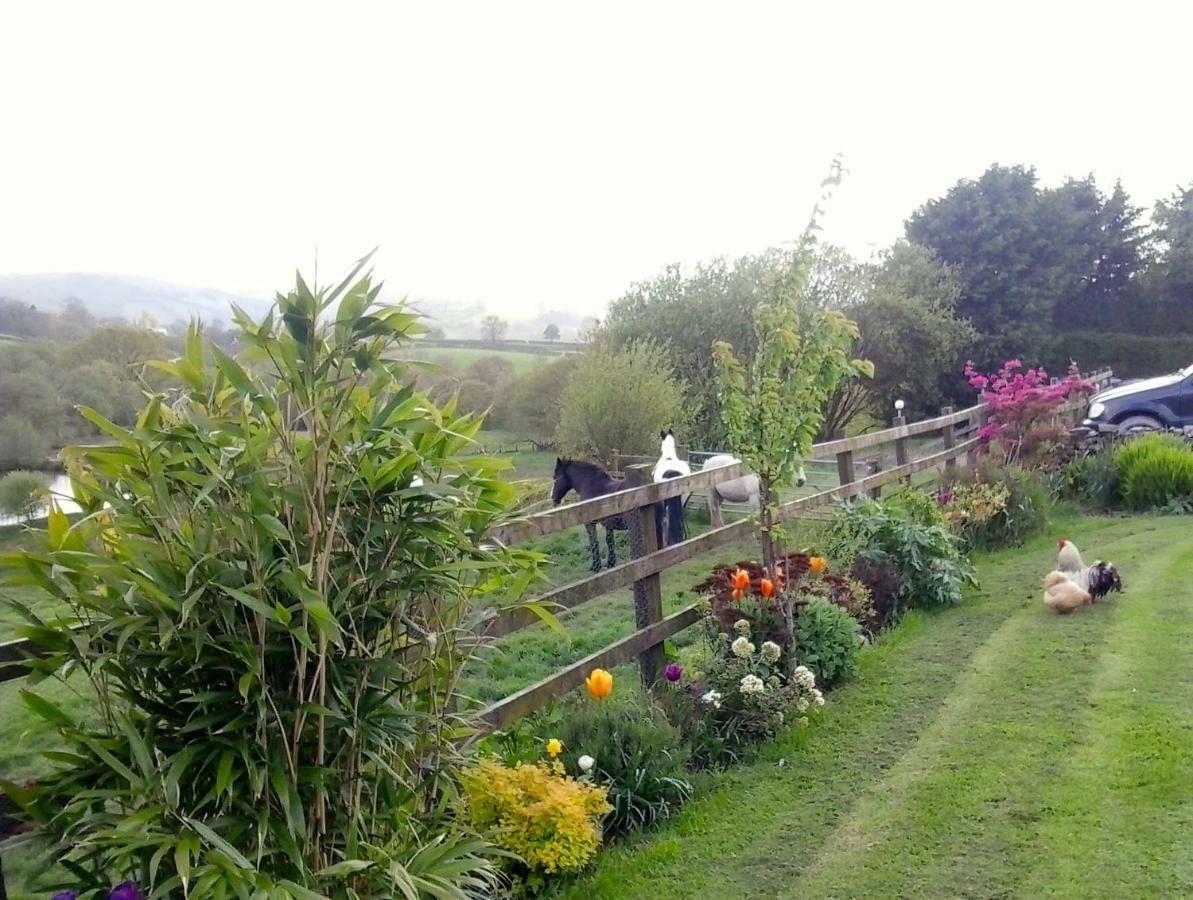 Five Saints Farmhouse B&B Pumpsaint Exterior foto