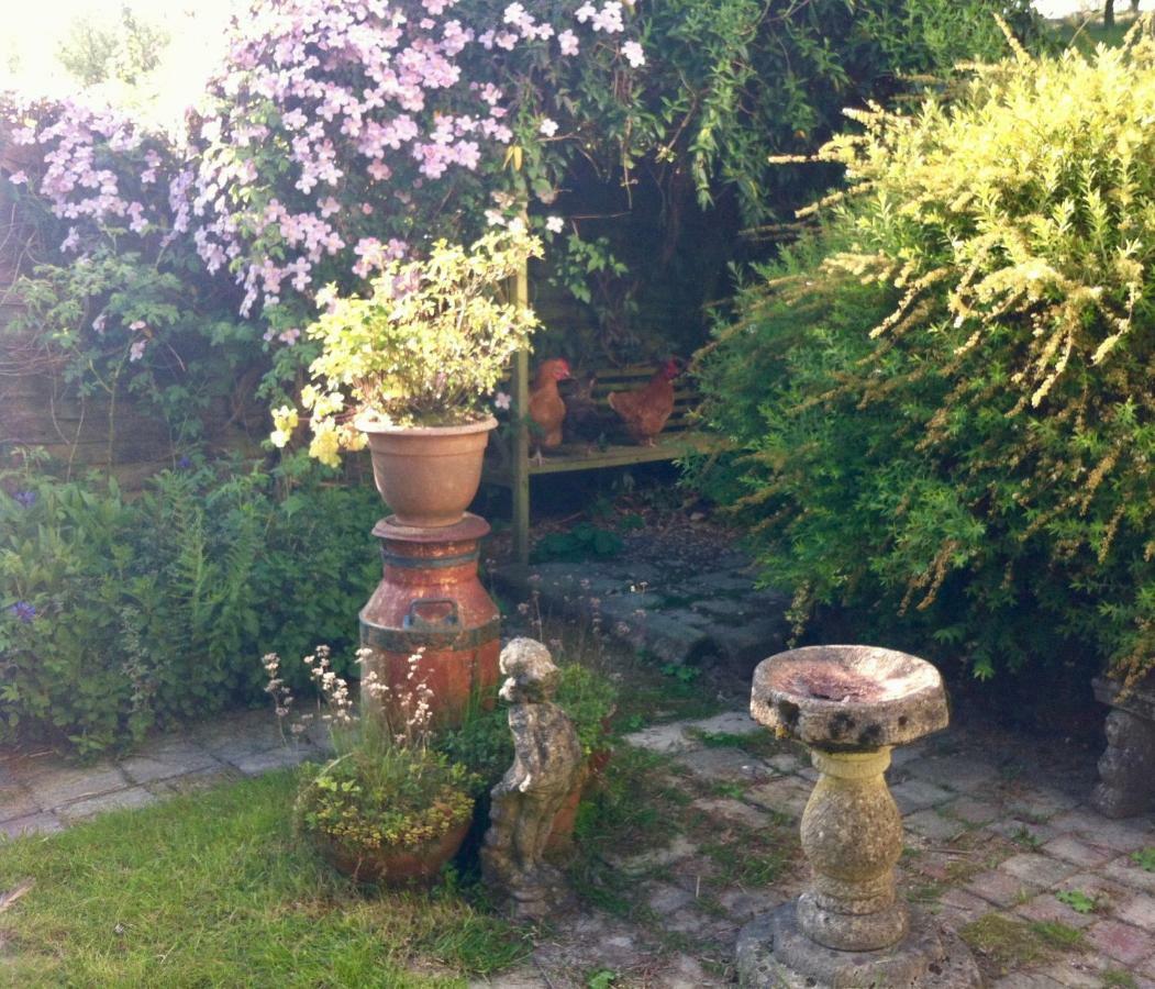 Five Saints Farmhouse B&B Pumpsaint Exterior foto